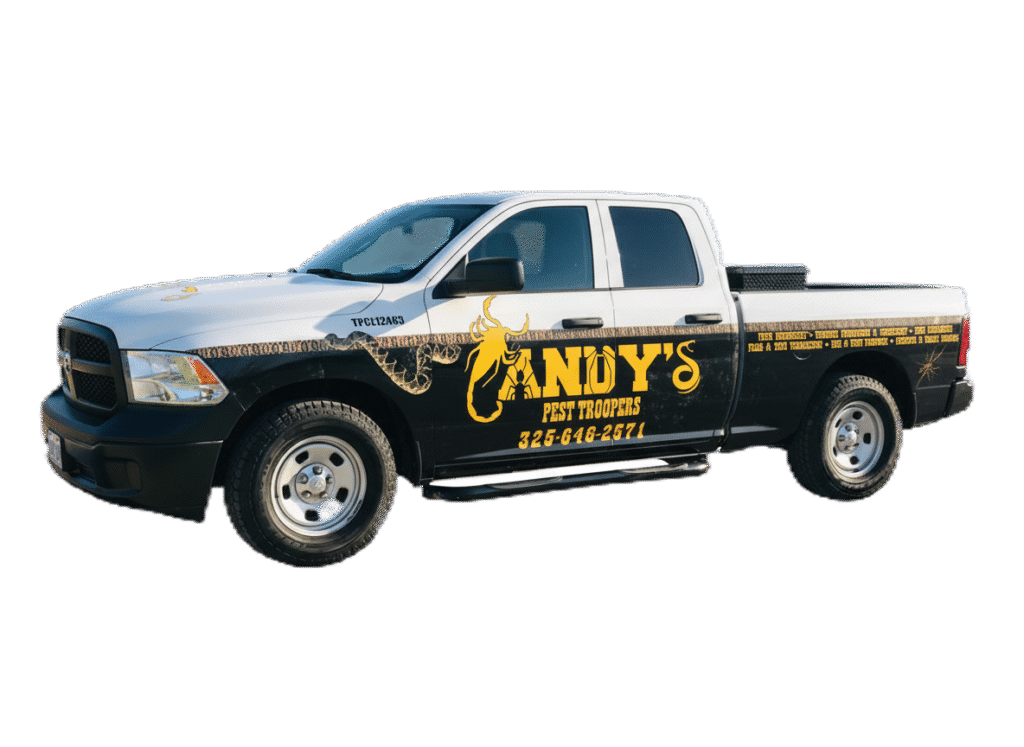 general pest control treatments